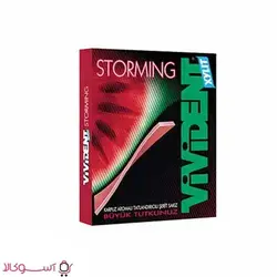 آدامس ویویدنت استورمینگ هندوانه ای وزن 33 گرم