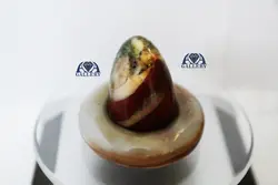 تخم مرغ سنگ خون (کد : 41701)