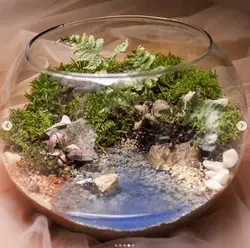 تراریوم برکه ( بهترین قیمت و کیفیت ) - فروشگاه باغ بذر