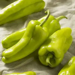 بذر فلفل سبز شیرین ( بذر اورجینال خارجی ) - فروشگاه باغ بذر