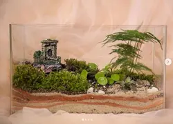 تراریوم قلعه - فروشگاه باغ بذر