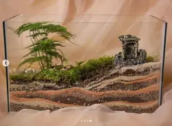 تراریوم قلعه - فروشگاه باغ بذر