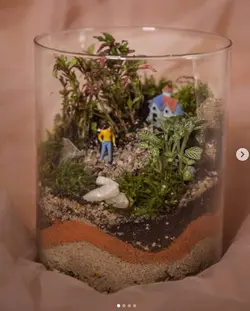 تراریوم استوانه - فروشگاه باغ بذر