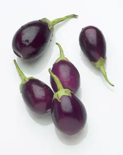 بیبی بادمجان ( بذر اورجینال خارجی )