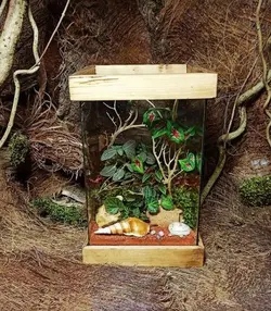 تراریوم آکواریوم ( لوکس )