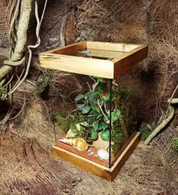 تراریوم آکواریوم ( لوکس )