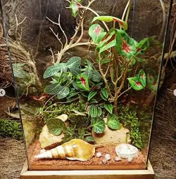 تراریوم آکواریوم ( لوکس )