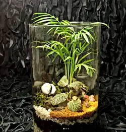 تراریوم ( استوانه بزرگ )