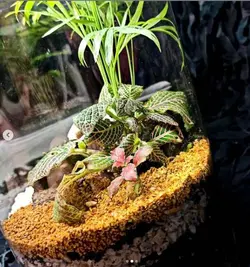 تراریوم ( استوانه بزرگ )