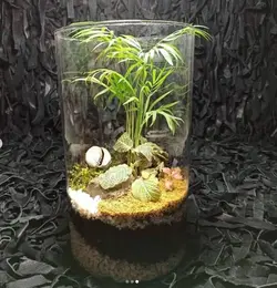 تراریوم ( استوانه بزرگ )