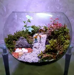 تراریوم دهکده