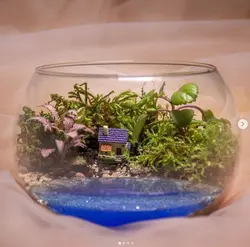 تراریوم دریاچه