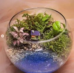 تراریوم دریاچه