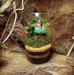 تراریوم استوانه خانه