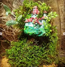 تراریوم استوانه خانه