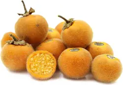 بذر بادمجان ترش ( اورجینال خارجی )