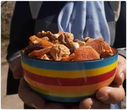 آجیل رژیمی باغ مهر بارادلند - بارادلند