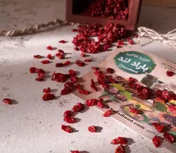 زرشک دانه اناری امساله درجه 1 - بارادلند