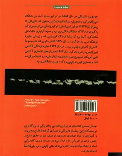 در ستایش سایه ها