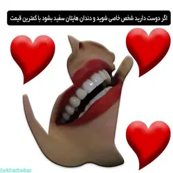 خرید لمینت متحرک دندان ترو اسمایل دو فک اصل 490 هزار تومان