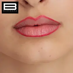 خط لب هاریت 302 LIP LINER HARRIET - وب سایت فروشگاهی بی درنگ