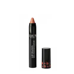 رژ لب ماژیکی مات IDUN MINERALS Lip Crayon Matt Long Lasting ANNI-FRID 402 - وب سایت فروشگاهی بی درنگ