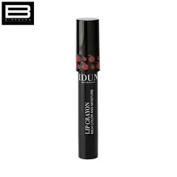 رژ لب ماژیکی IDUN MINERALS Lip Crayon Matt Long Lasting AGNETHA 401 - وب سایت فروشگاهی بی درنگ
