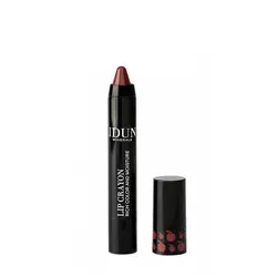 رژ لب ماژیکی مات جنی IDUN MINERALS Lip Crayon Matt Long Lasting JENNY 405 - وب سایت فروشگاهی بی درنگ