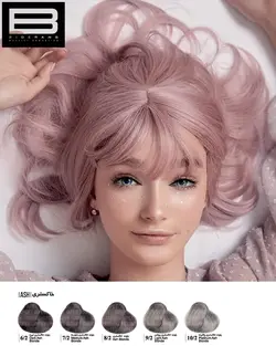 رنگ مو دوپیر سری خاکستری - وب سایت فروشگاهی بی درنگ