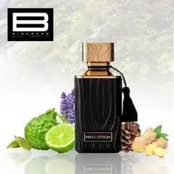 عطر مردانه LARSI LUAN مدل MAELSTROM - وب سایت فروشگاهی بی درنگ