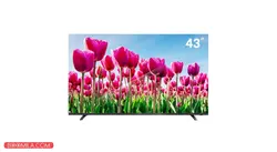 تلویزیون 43 اینچی دوو مدل 4411 - فروشگاه اینترنتی بومیلا DLE-43K4411