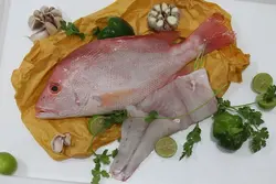ماهی سرخو