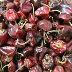 خرید فلفل عنابی دهاتی کالا - 100 گرمی - دهاتی کالا