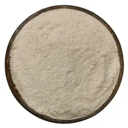 خرید پودر موسیر خالص دهاتی کالا - 100 گرمی - دهاتی کالا