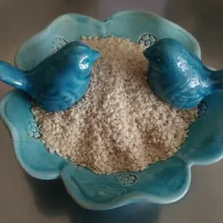 خرید کنجد سفید دهاتی کالا - 500 گرمی - دهاتی کالا