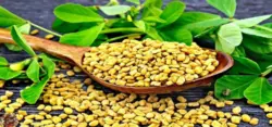 خرید تخم شنبلیله هندی دهاتی کالا - 250 گرمی - دهاتی کالا