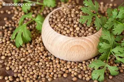 خرید تخم گشنیز دهاتی کالا - 250 گرمی - دهاتی کالا