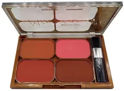 پالت رژگونه مینی استار