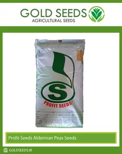 بذر نخود فرنگی واریته آلدرمن کمپانی پروفیت سید | خدمات کشاورزی طلابذر