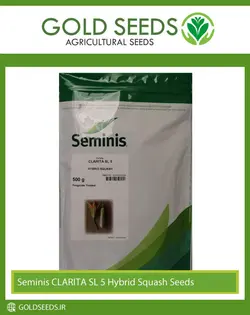 بذر کدو سمینیس تک گل SL5 | خدمات کشاورزی طلابذر
