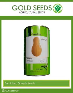 بذر کدو حلوایی استاندارد ثمین بذر | خدمات کشاورزی طلابذر