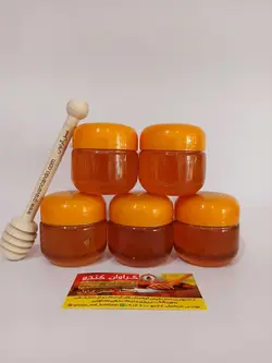 پکیج تست 5 عددی عسل طبیعی گراوان - 100 گرمی | فروشگاه اینترنتی عسل گراوان کندو
