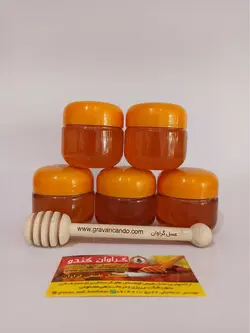پکیج تست 5 عددی عسل طبیعی گراوان - 100 گرمی | فروشگاه اینترنتی عسل گراوان کندو