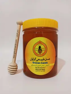 خرید عسل گون با قیمت مناسب و ضمانت | فروشگاه اینترنتی عسل طبیعی گراوان