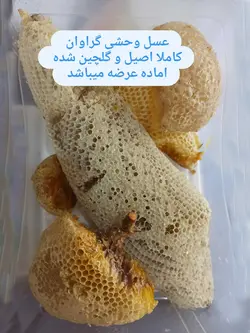 خرید عسل وحشی با قیمت مناسب و ضمانت | فروشگاه اینترنتی عسل گراوان