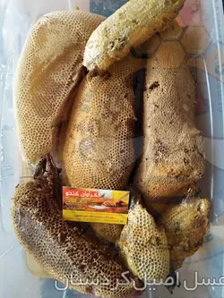 خرید عسل وحشی با قیمت مناسب و ضمانت | فروشگاه اینترنتی عسل گراوان