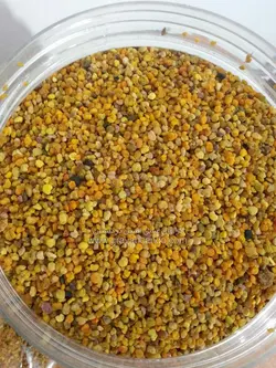 گرده گل کوهی با قیمت مناسب و ضمانت | فروشگاه اینترنتی عسل گراوان