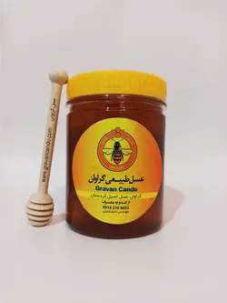 خرید عسل آویشن با قیمت مناسب و ضمانت | فروشگاه اینترنتی عسل گراوان