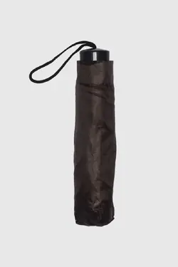 چتر