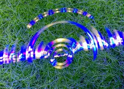 مشخصات، قیمت و خرید گیاه چیتو- 0 تا 100 نگهداری و تکثیر گیاه چیتو